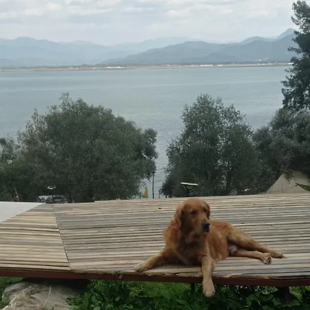 Glamping Eses Camping Bungalov
